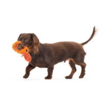 Bark Della Crawfish Dog Toy