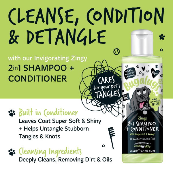 Zesty 2 in 1 Shampoo & Conditioner 250ml Bottle with Flip Cap