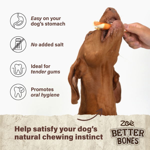 Zoe Better Bones Chicken Wrap Large Rolls 10pk