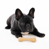 M-PETS Greenbo Natural Rubber Bones - Small