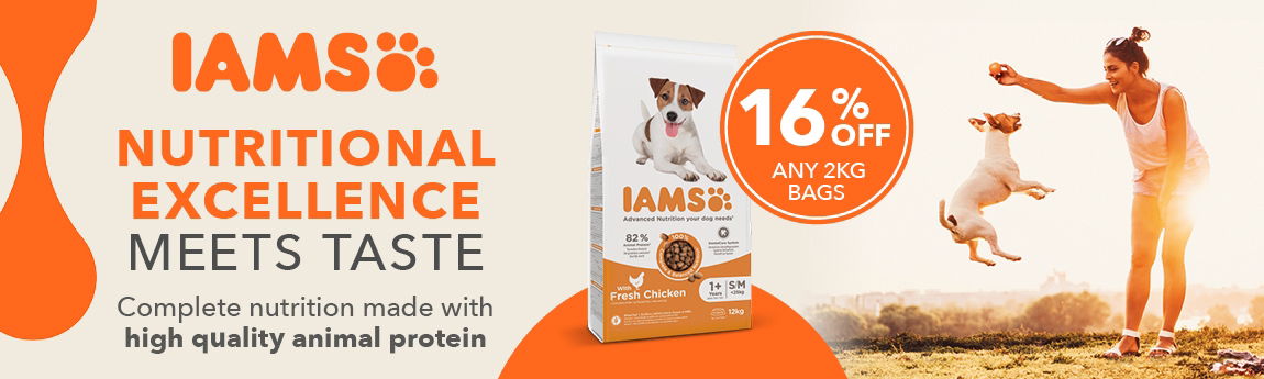 P6 IAMS Dog Web Banner