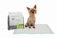 M-PETS Green Grass 60 X 60  Training Pads - 30 Pcs