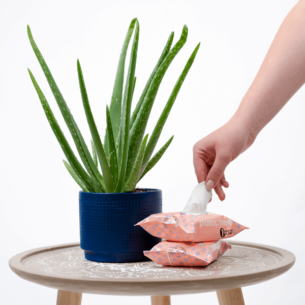 Adios Plastic Compostable Pet Wipes 25 Pack