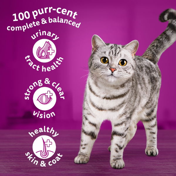 WHISKAS 1+ Tuna Adult Dry Cat Food 7kg