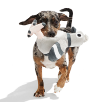 Bark Flappin' Flossie Dog Toy