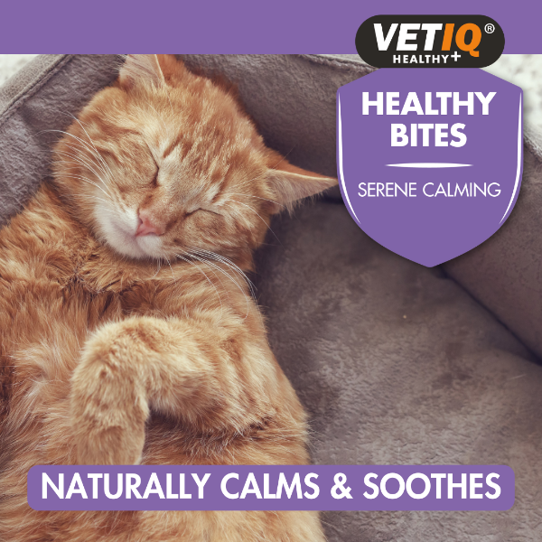 Healthy Bites Serene Calming 65g