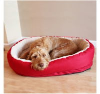 40 Winks Orthopedic Bed Red 66cm (26)