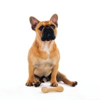 M-PETS Greenbo Natural Rubber Bones - Small