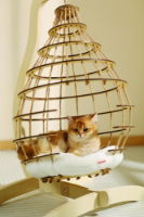 MPETS Cloud Hanging Cat Bed with Cushion