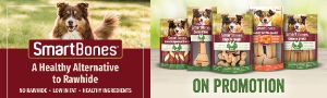 P5 SmartBones Web Banner