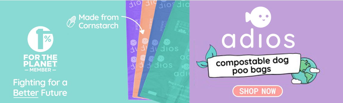 P6 Adios Web Banner 
