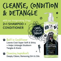 Zesty 2 in 1 Shampoo & Conditioner 500ml Bottle with Pump