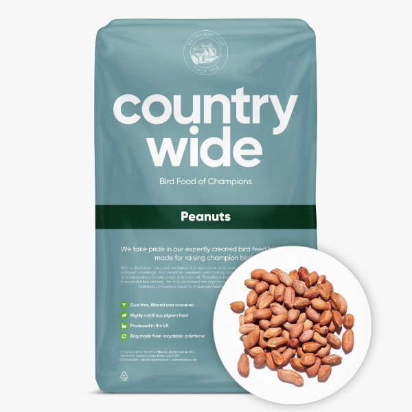 Countrywide Bird Peanuts Redskins 25kg