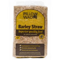 Pillow Wad Straw Large 2kg