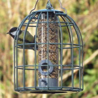 The Nuttery Classic Compact Seed Squirrel Proof Feeder