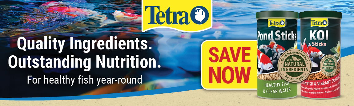P7 Tetra Web Banner