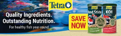 P7 Tetra Web Banner