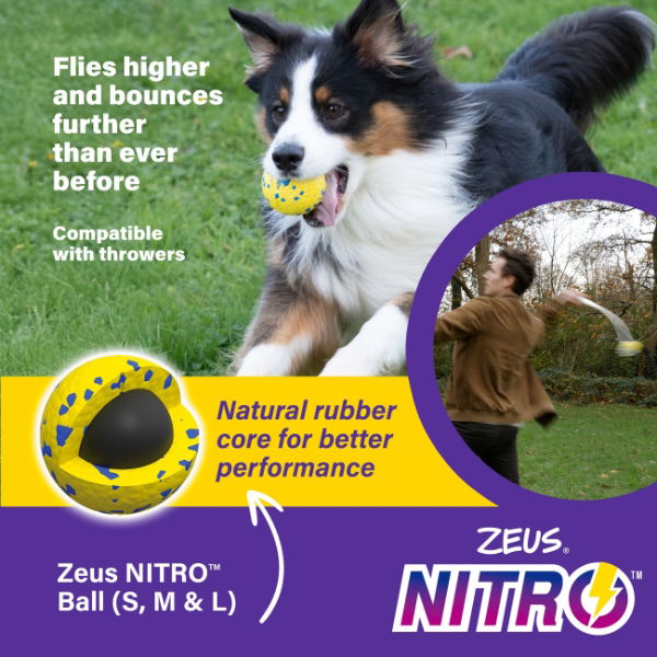 Zeus Nitro Weighted Ball Medium 6.3cm dia