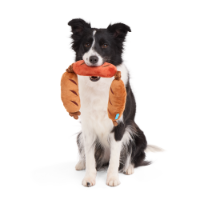 Bark Lickin' Links Dog Toy