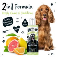 Zesty 2 in 1 Shampoo & Conditioner 250ml Bottle with Flip Cap