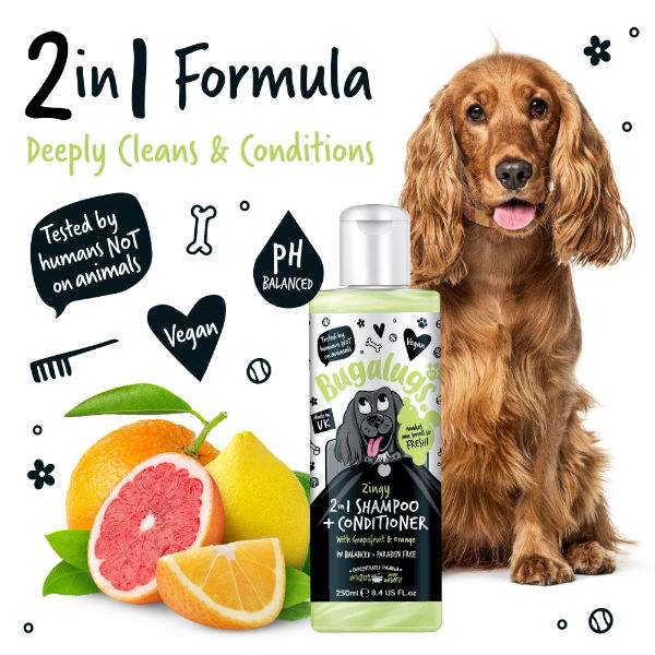 Zesty 2 in 1 Shampoo & Conditioner 250ml Bottle with Flip Cap