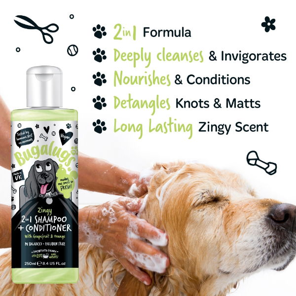 Zesty 2 in 1 Shampoo & Conditioner 250ml Bottle with Flip Cap