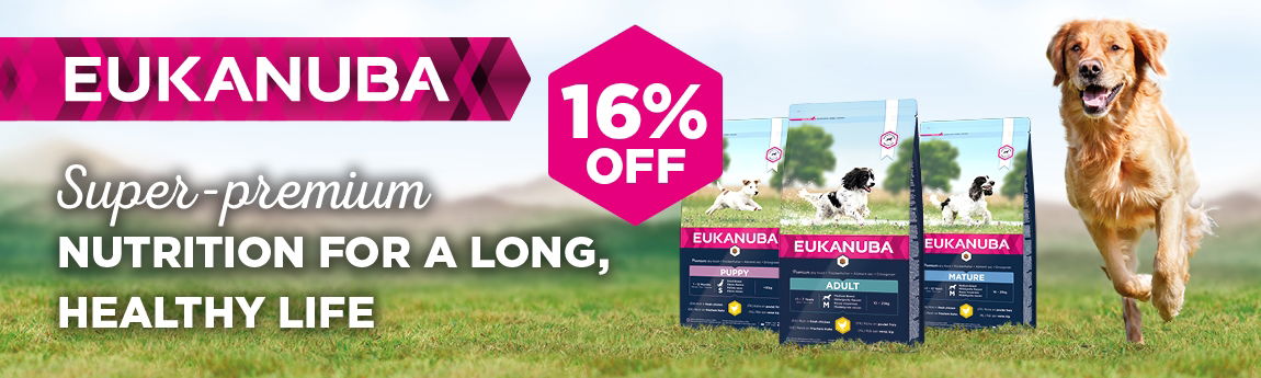 P6 Eukanuba Web Banner