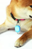 M-PETS Rechargeable Led Jewel For Dog - Blue