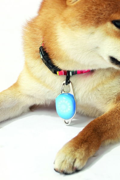 M-PETS Rechargeable Led Jewel For Dog - Blue