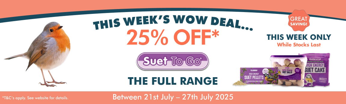 WOW Deal Week 30 Web Banner