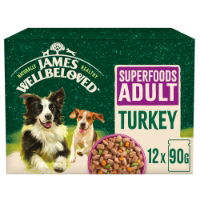 Jwb Superfood Adult Turkey in Gravy Pouch 12 x 90g