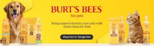 P7 Burt's Bees Web Banner