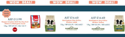 WOW DEAL Harringtons and Chappie