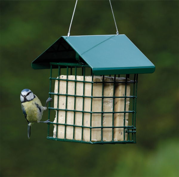 RSPB Super Suet Cake With Mealworm - 3 Pack