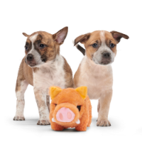 Bark Beau The Boar Dog Toy