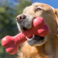 KONG Goodie Bone XL