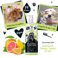 Zesty 2 in 1 Shampoo & Conditioner 500ml Bottle with Pump