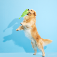 Bark Corn On The Slob Dog Toy