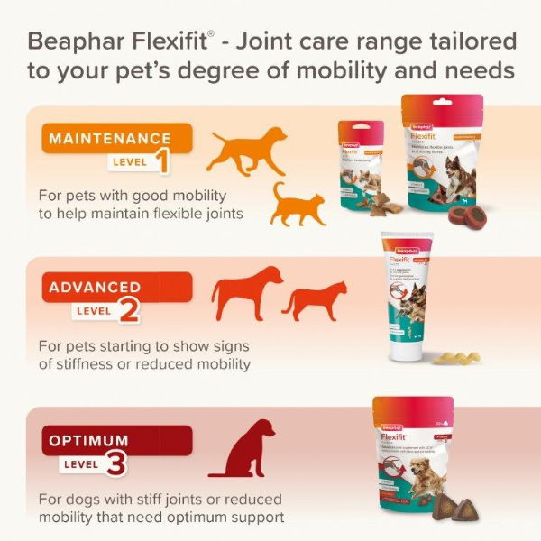 Beaphar Flexifit Cat & Dog Paste - Advanced Level 2