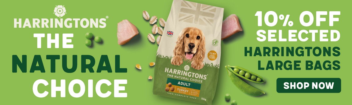 P7 Harringtons Web Banner