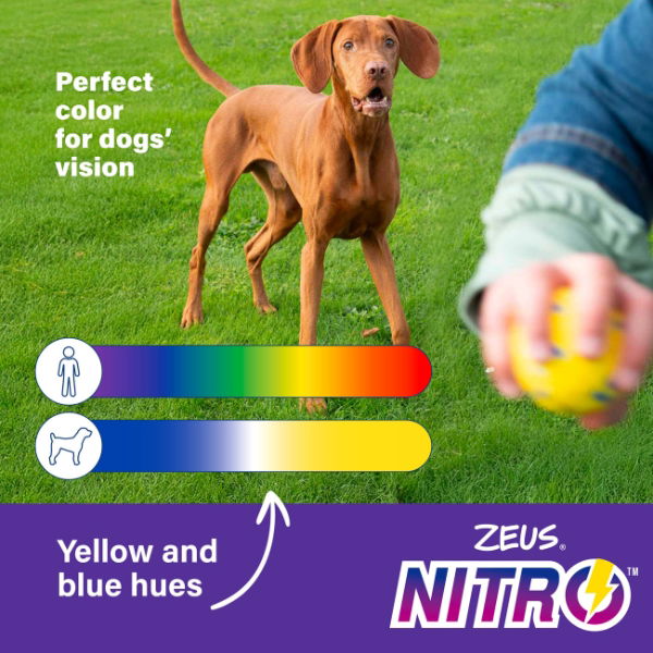 Zeus Nitro Weighted Ball Medium 6.3cm dia