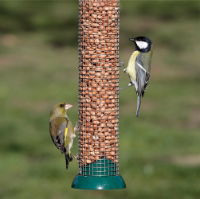 RSPB Premium Peanuts - 900g