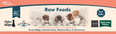 Raw Foods Web Banner