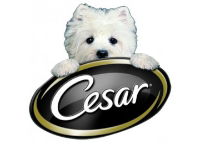 Cesar