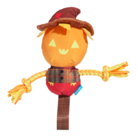 BARK Halloween Jack-Crow-Lantern
