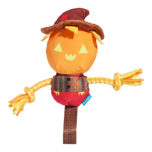 BARK Halloween Jack-Crow-Lantern