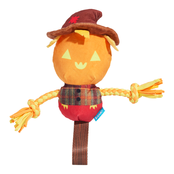 BARK Halloween Jack-Crow-Lantern