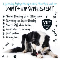 Joint & Hip Powder Supplement 200g Pot with spoon