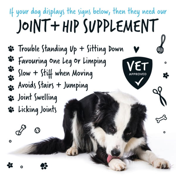 Joint & Hip Powder Supplement 200g Pot with spoon
