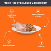 Hilife Natural Cat Pch The Big Chicken One In Jelly 32x70g